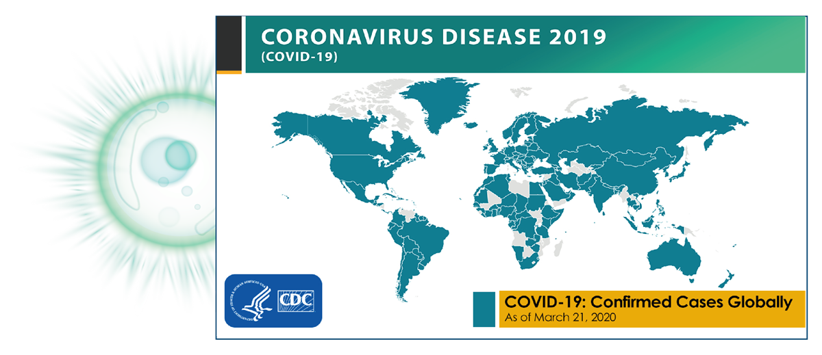 Coronavirus Disease 2019